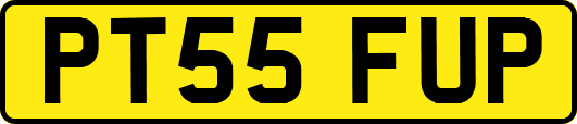 PT55FUP