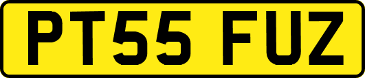 PT55FUZ