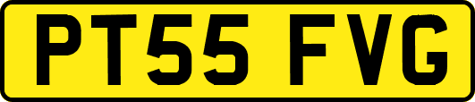 PT55FVG