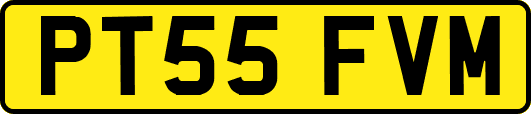 PT55FVM