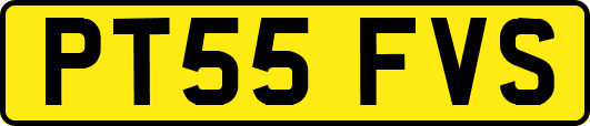 PT55FVS