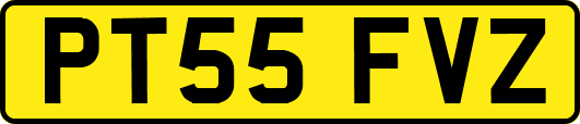 PT55FVZ
