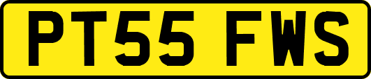 PT55FWS