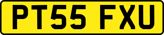 PT55FXU