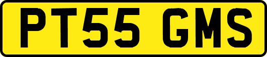 PT55GMS