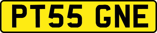 PT55GNE