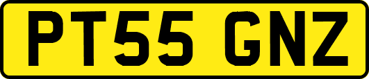 PT55GNZ