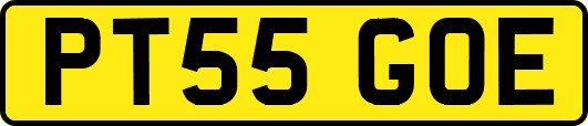 PT55GOE