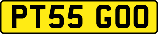 PT55GOO