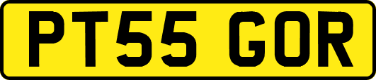 PT55GOR