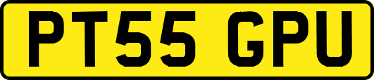 PT55GPU
