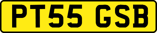 PT55GSB