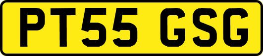 PT55GSG