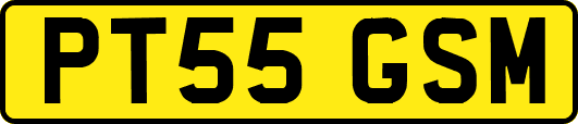 PT55GSM