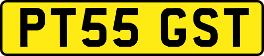 PT55GST
