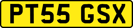 PT55GSX