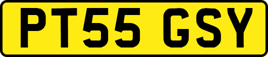 PT55GSY
