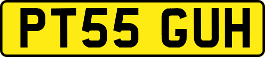 PT55GUH
