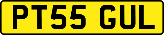 PT55GUL