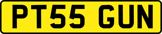 PT55GUN