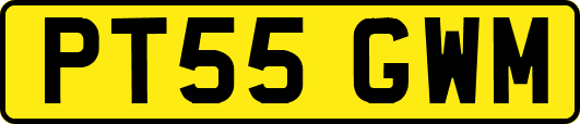 PT55GWM