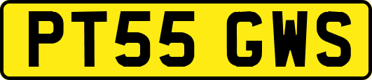 PT55GWS