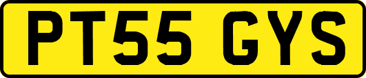 PT55GYS