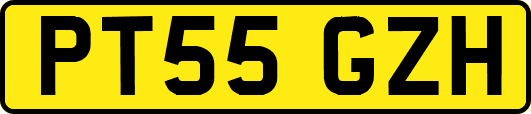 PT55GZH