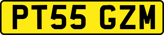PT55GZM