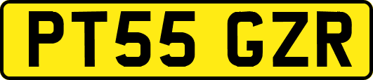PT55GZR