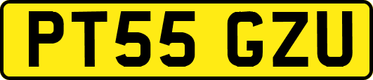 PT55GZU