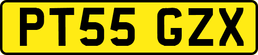 PT55GZX