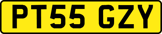 PT55GZY