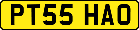 PT55HAO