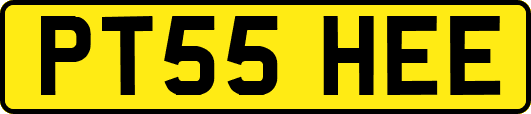 PT55HEE