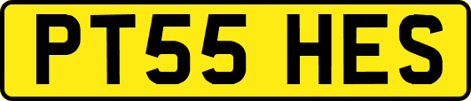 PT55HES