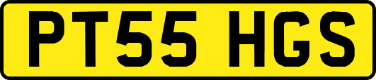 PT55HGS