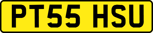 PT55HSU