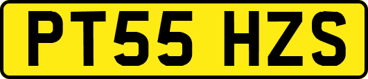 PT55HZS