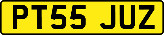 PT55JUZ