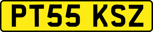 PT55KSZ