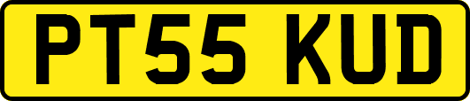 PT55KUD