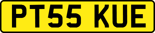 PT55KUE