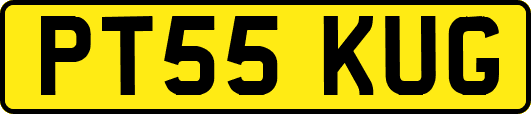PT55KUG