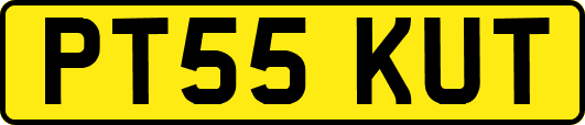 PT55KUT