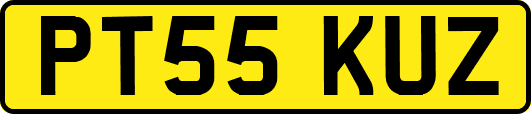 PT55KUZ