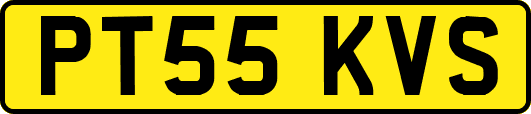 PT55KVS