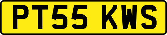 PT55KWS