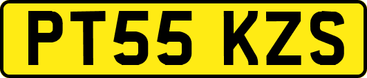 PT55KZS