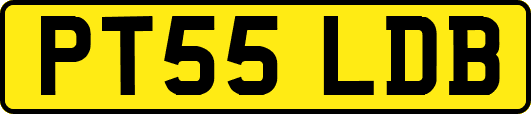 PT55LDB